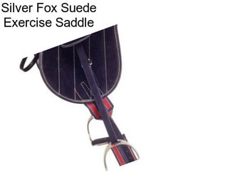 Silver Fox Suede Exercise Saddle