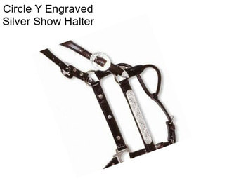 Circle Y Engraved Silver Show Halter