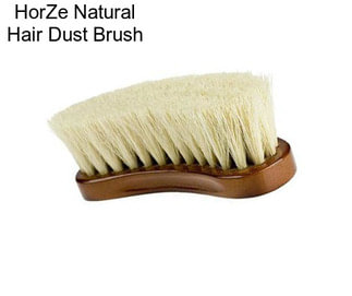 HorZe Natural Hair Dust Brush