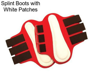 Splint Boots with White Patches