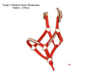 Tough-1 Miniature Nylon Breakaway Halters - 6 Pack