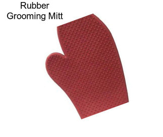 Rubber Grooming Mitt