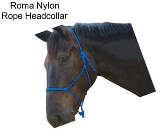 Roma Nylon Rope Headcollar