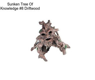 Sunken Tree Of Knowledge #8 Driftwood