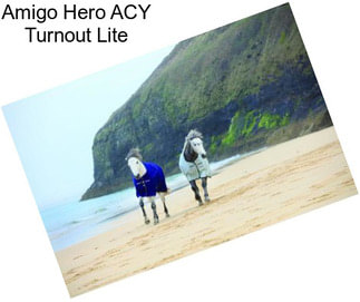 Amigo Hero ACY Turnout Lite
