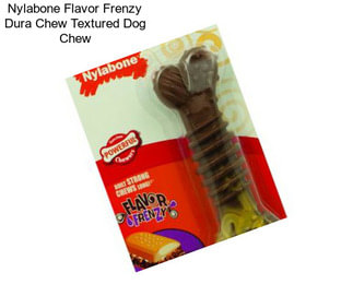 Nylabone Flavor Frenzy Dura Chew Textured Dog Chew