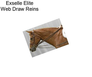 Exselle Elite Web Draw Reins