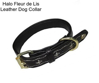 Halo Fleur de Lis Leather Dog Collar