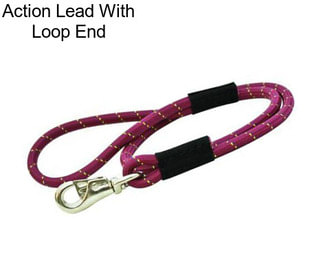 Action Lead With Loop End