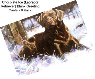 Chocolate Ice (Labrador Retriever) Blank Greeting Cards - 6 Pack