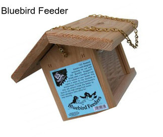 Bluebird Feeder