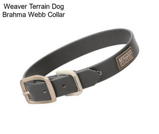 Weaver Terrain Dog Brahma Webb Collar