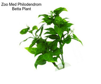 Zoo Med Philodendrom Betta Plant