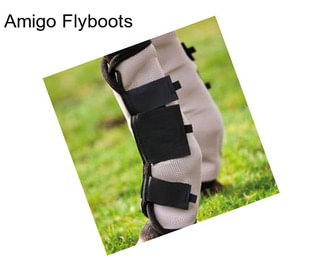 Amigo Flyboots