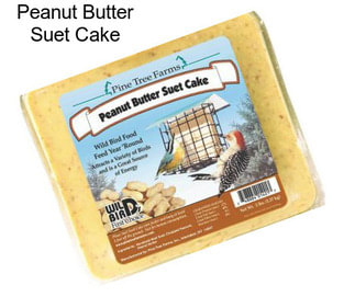 Peanut Butter Suet Cake