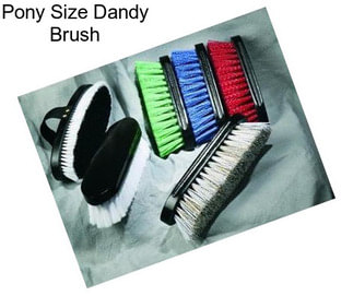 Pony Size Dandy Brush