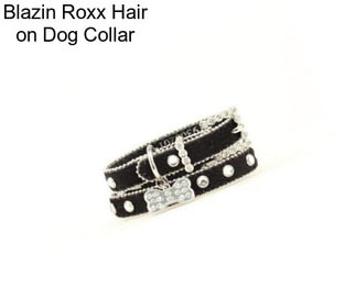 Blazin Roxx Hair on Dog Collar