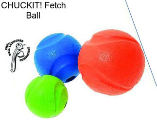CHUCKIT! Fetch Ball