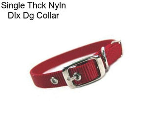 Single Thck Nyln Dlx Dg Collar