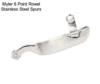 Myler 6 Point Rowel Stainless Steel Spurs