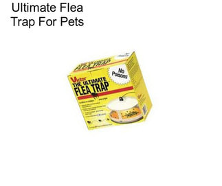 Ultimate Flea Trap For Pets