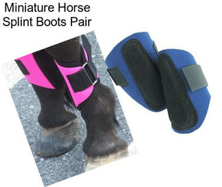 Miniature Horse Splint Boots Pair