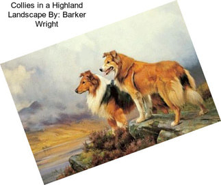 Collies in a Highland Landscape By: Barker Wright