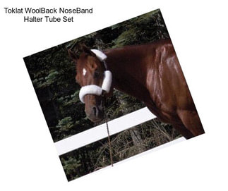 Toklat WoolBack NoseBand Halter Tube Set