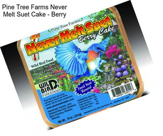 Pine Tree Farms Never Melt Suet Cake - Berry