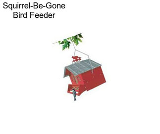 Squirrel-Be-Gone Bird Feeder