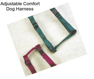 Adjustable Comfort Dog Harness