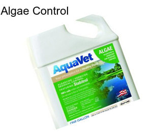 Algae Control