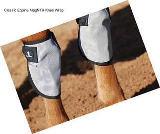 Classic Equine MagNTX Knee Wrap