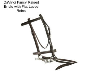 DaVinci Fancy Raised Bridle with Flat Laced Reins