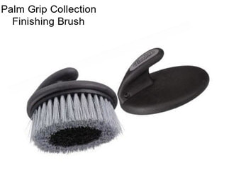 Palm Grip Collection Finishing Brush