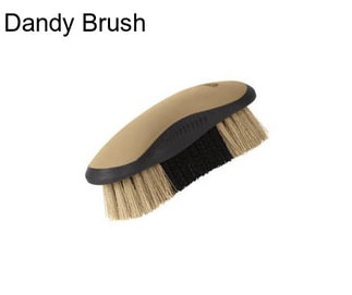 Dandy Brush