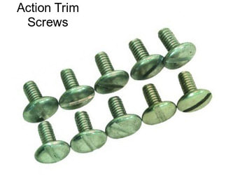 Action Trim Screws