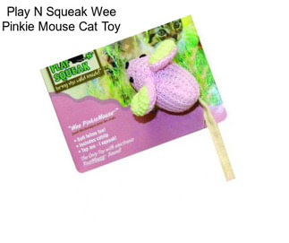 Play N Squeak Wee Pinkie Mouse Cat Toy