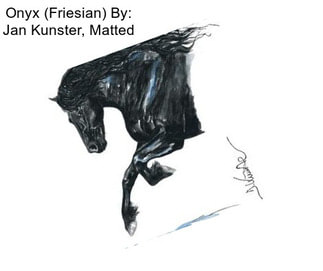 Onyx (Friesian) By: Jan Kunster, Matted