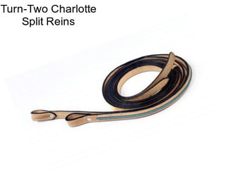 Turn-Two Charlotte Split Reins