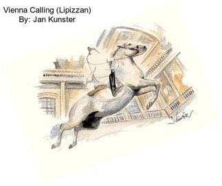 Vienna Calling (Lipizzan) By: Jan Kunster
