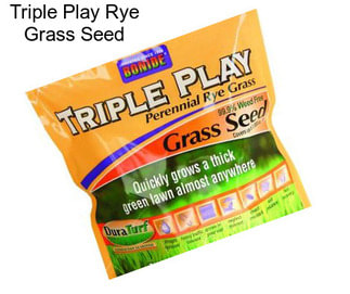 Triple Play Rye Grass Seed