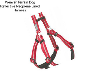 Weaver Terrain Dog Reflective Neoprene Lined Harness