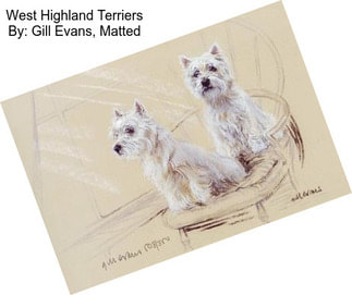 West Highland Terriers By: Gill Evans, Matted