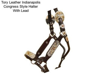 Tory Leather Indianapolis Congress Style Halter With Lead