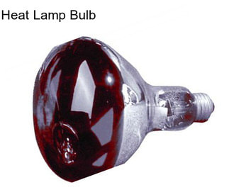 Heat Lamp Bulb