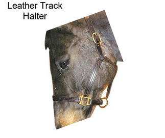 Leather Track Halter