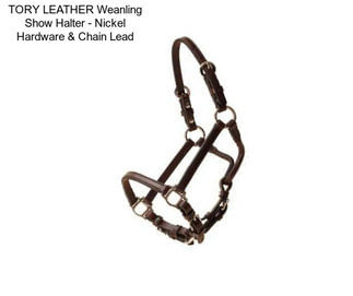 TORY LEATHER Weanling Show Halter - Nickel Hardware & Chain Lead