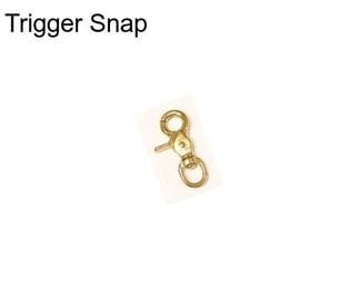 Trigger Snap