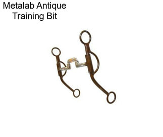 Metalab Antique Training Bit